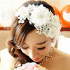 bridal headpiece Hair Jewelry Wedding Party  Leaves  Headbands Flower Head Piece Bride Hair Jewelry Accessories