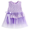 Hot New Infant Baby Girl Tutu Dress vestidos Kids Cute Lace Flower Summer Party Princess Dresses baby girl Christmas Clothes Z3