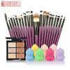 Professional Cosmetic Set 6-Color Concealer +20 Makeup Brush + Water Puff Puff Powder Puff Makeup Set jan12dropship