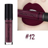 Best Lip Makeup 12 Colors Sexy Matte Velvet Long Lasting Lipgloss Liquid Lipstick Lip Gloss