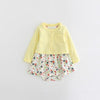 Brand 2018 summer baby girl set ,0-24M 100% cotton baby girls clothes summer flower girl dress , 2 pc/set baby dresses for girls