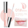 Qdsuh Fashion Brand New Lip Gloss Moisture Cosmetics Waterproof Nutritious Easy Wear Long Lasting Liquid Batom Balm Makeup