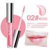 Qdsuh Fashion Brand New Lip Gloss Moisture Cosmetics Waterproof Nutritious Easy Wear Long Lasting Liquid Batom Balm Makeup