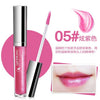 Qdsuh Fashion Brand New Lip Gloss Moisture Cosmetics Waterproof Nutritious Easy Wear Long Lasting Liquid Batom Balm Makeup