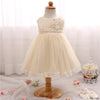 Flower Baby Girl Wedding Dress Baptism Christening Gowns Bebes First Birthday Party Outfits Little Princess Girl Clothes 2 Years